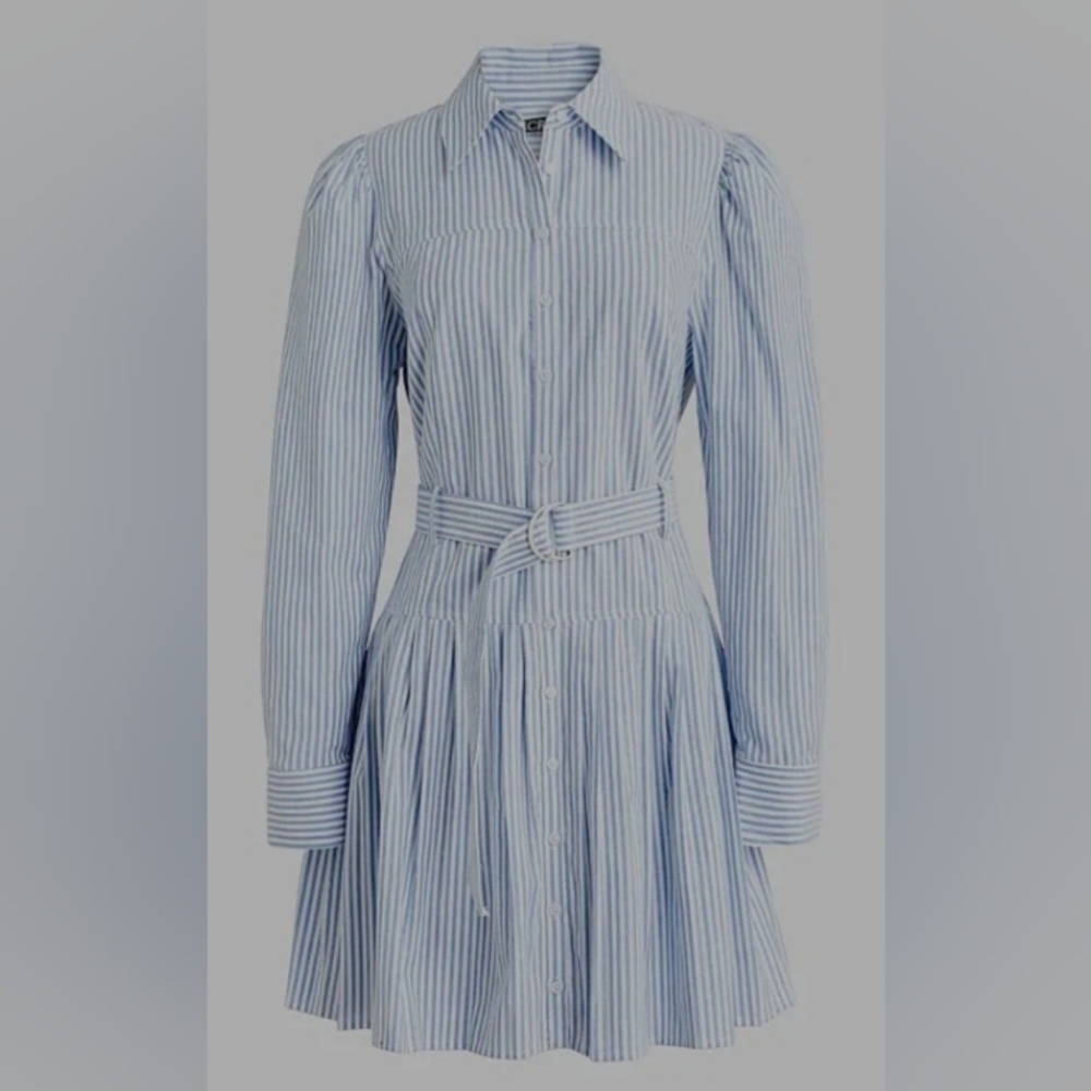 J. Crew Blue and White Striped Button-Front Shirt Dress